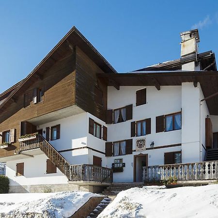 Villa Casanova - Stayincortina كورتينا دامبيتزو الغرفة الصورة